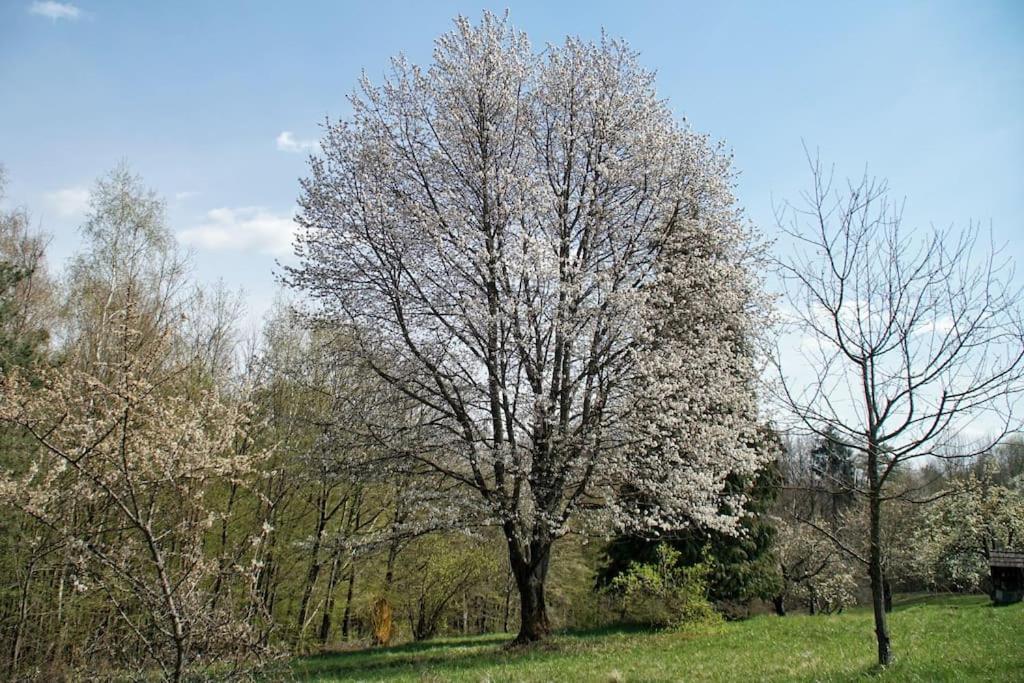 Stilvolles Im Dreilaendereck